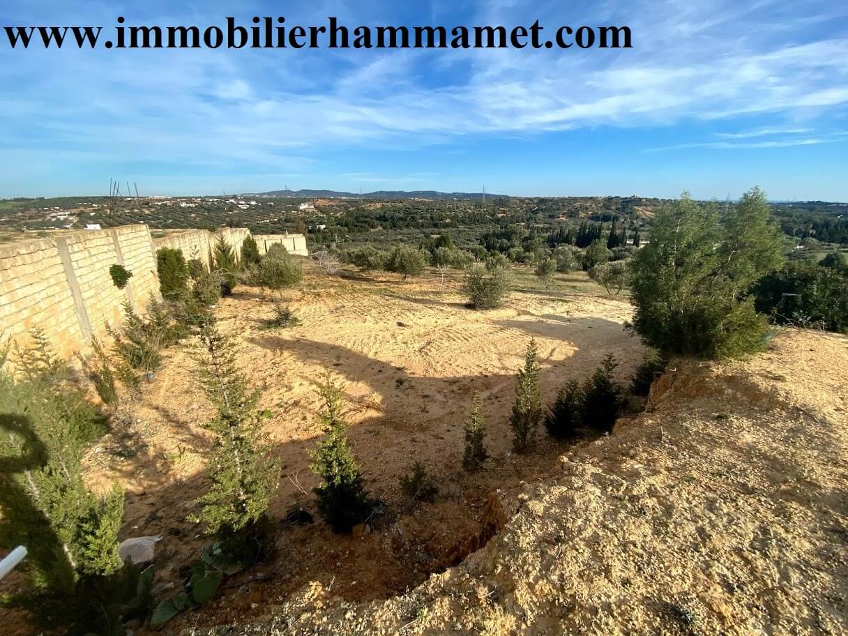 vente Terrain Hammamet 1 100 M2 32 544 €