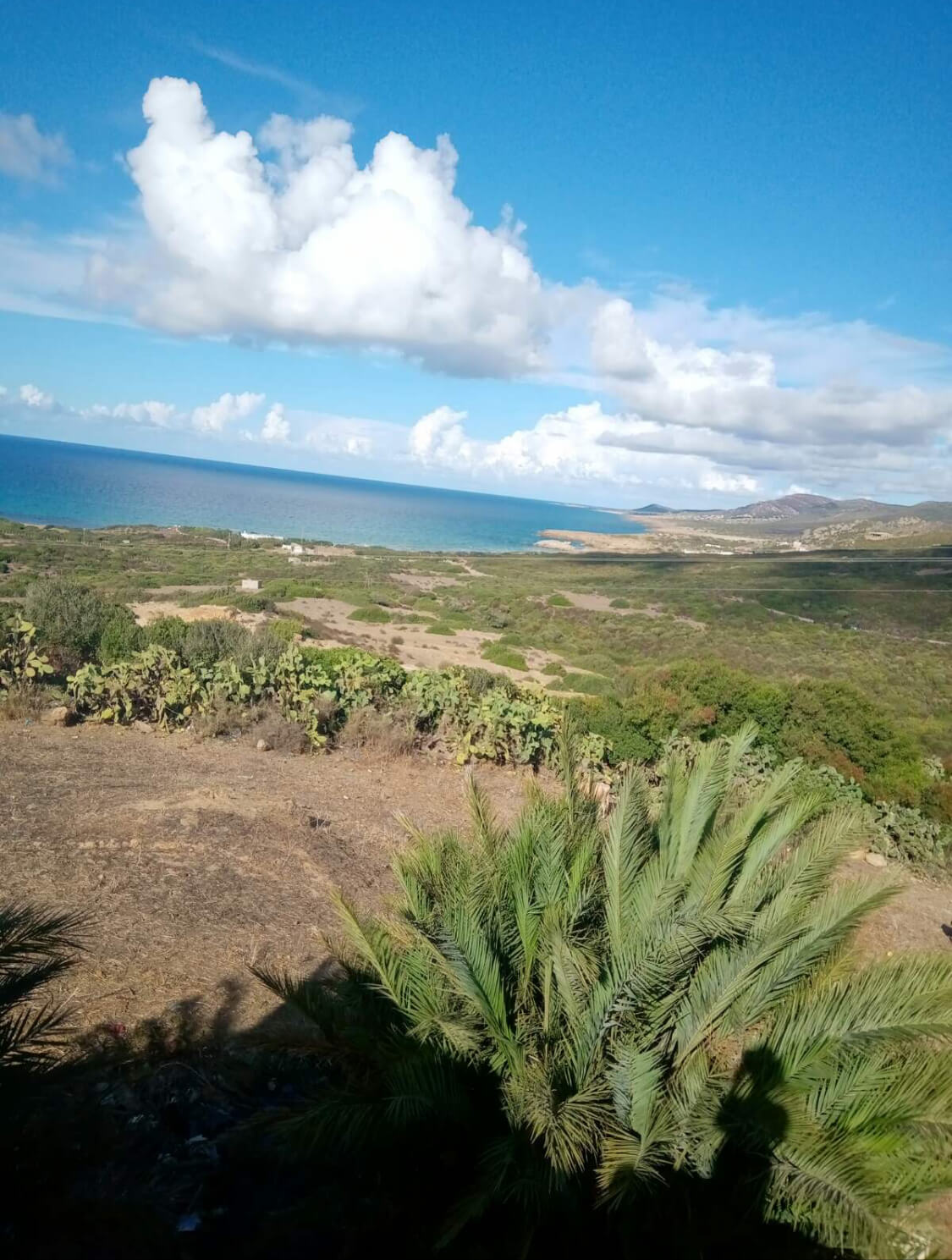 vente Terrain de 3 hectares houichette dar janna Bizerte